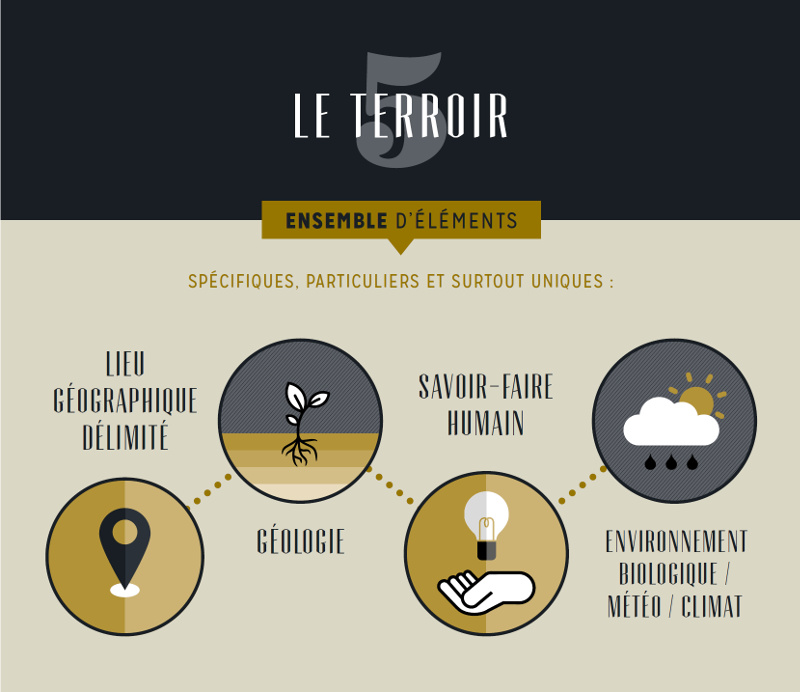 terroir-infographie-wolfberger